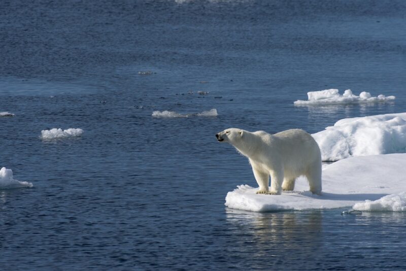 Clima