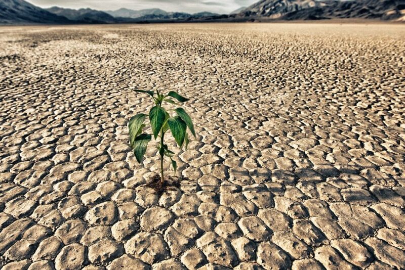 Clima