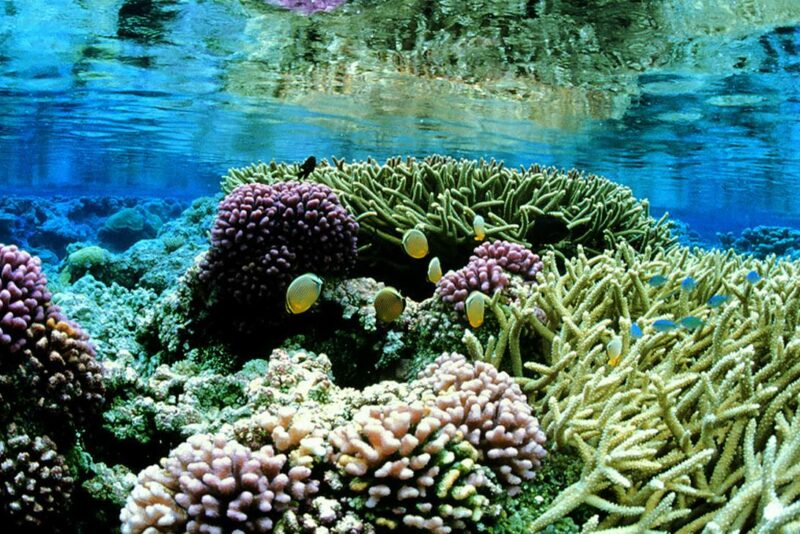 Biodiversità