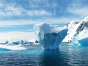 oceani artico