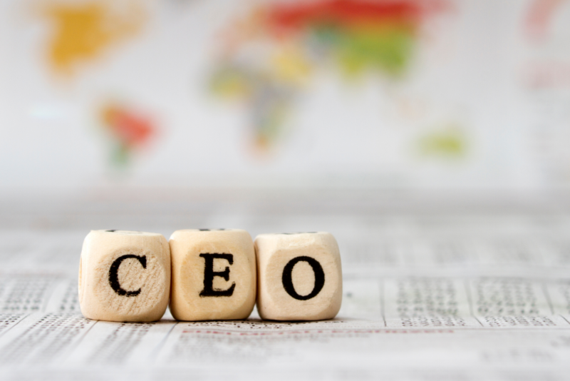 2023 CEO INSIGHTS