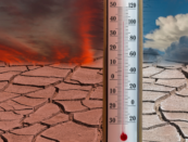 temperature