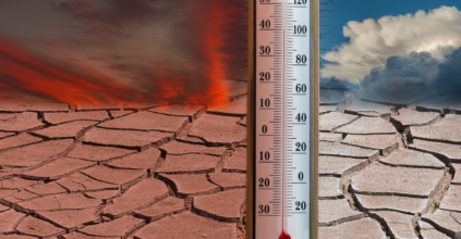 temperature