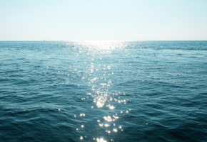 Alcalinità Oceanica