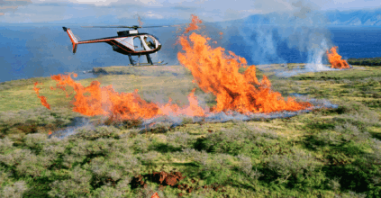 incendi