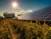 agrivoltaico agricoltura