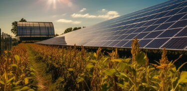 agrivoltaico agricoltura