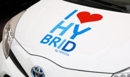 Ibride