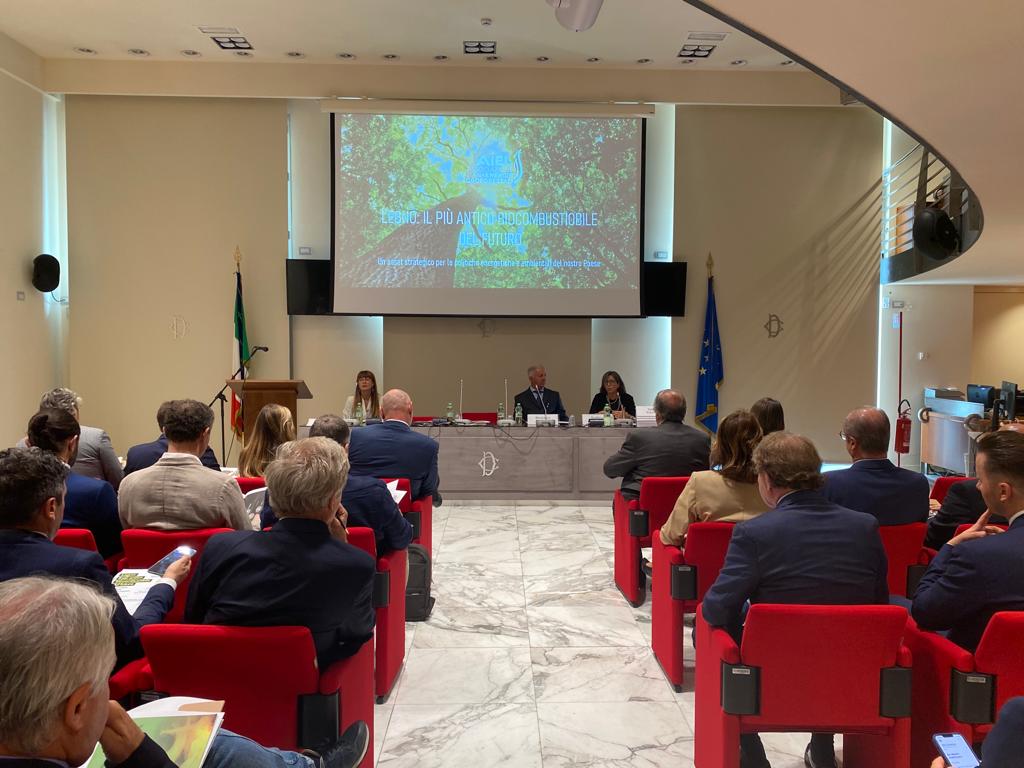 AIEL presenta la sua visione per rilanciare l’energia del legno