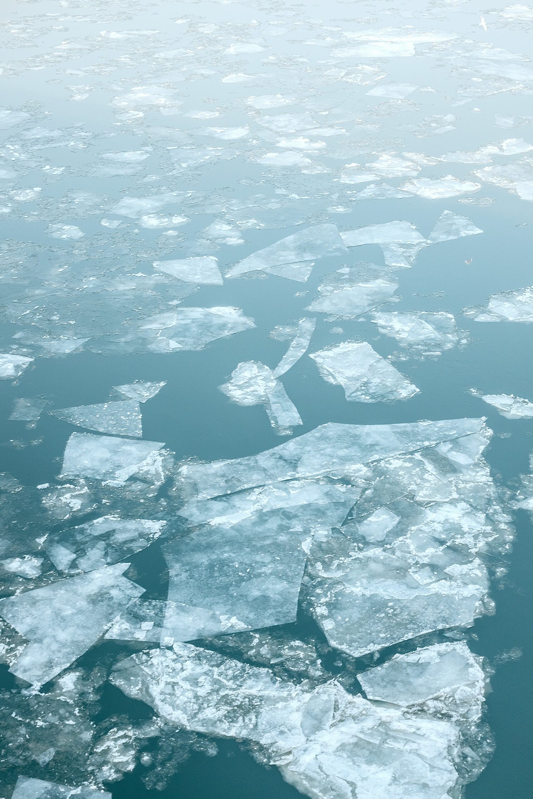 Cambiamenti climatici