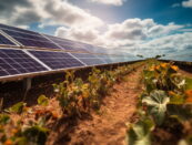 fotovoltaico