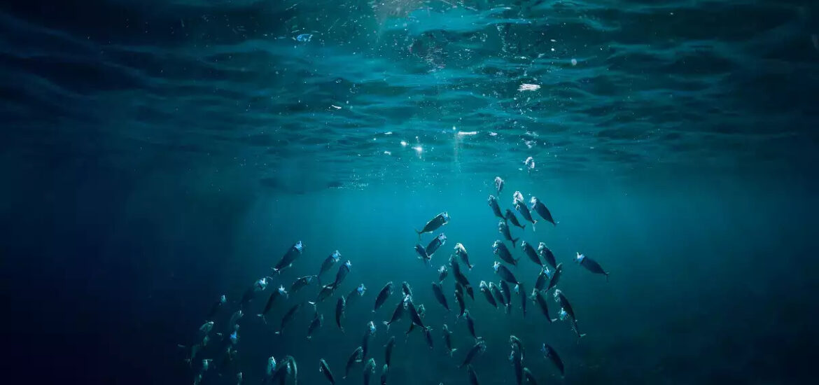 oceani