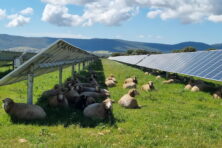 Legge Transizione 5.0 rinnovabili