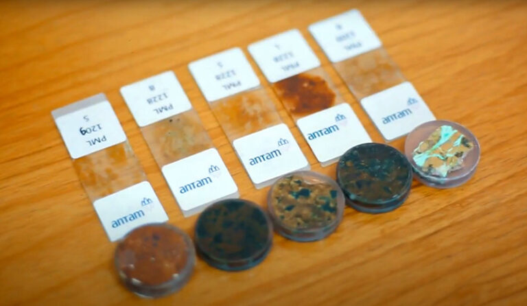 Quali Sono Le Terre Rare In Ucraina Perché le terre rare sono così preziose da valere la fine della guerra