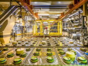 uranio combustibile nucleare