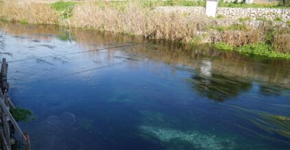 Dissalatore fiume Tara: presentata denuncia alla Commissione Ue per violazioni gravi delle norme ambientali