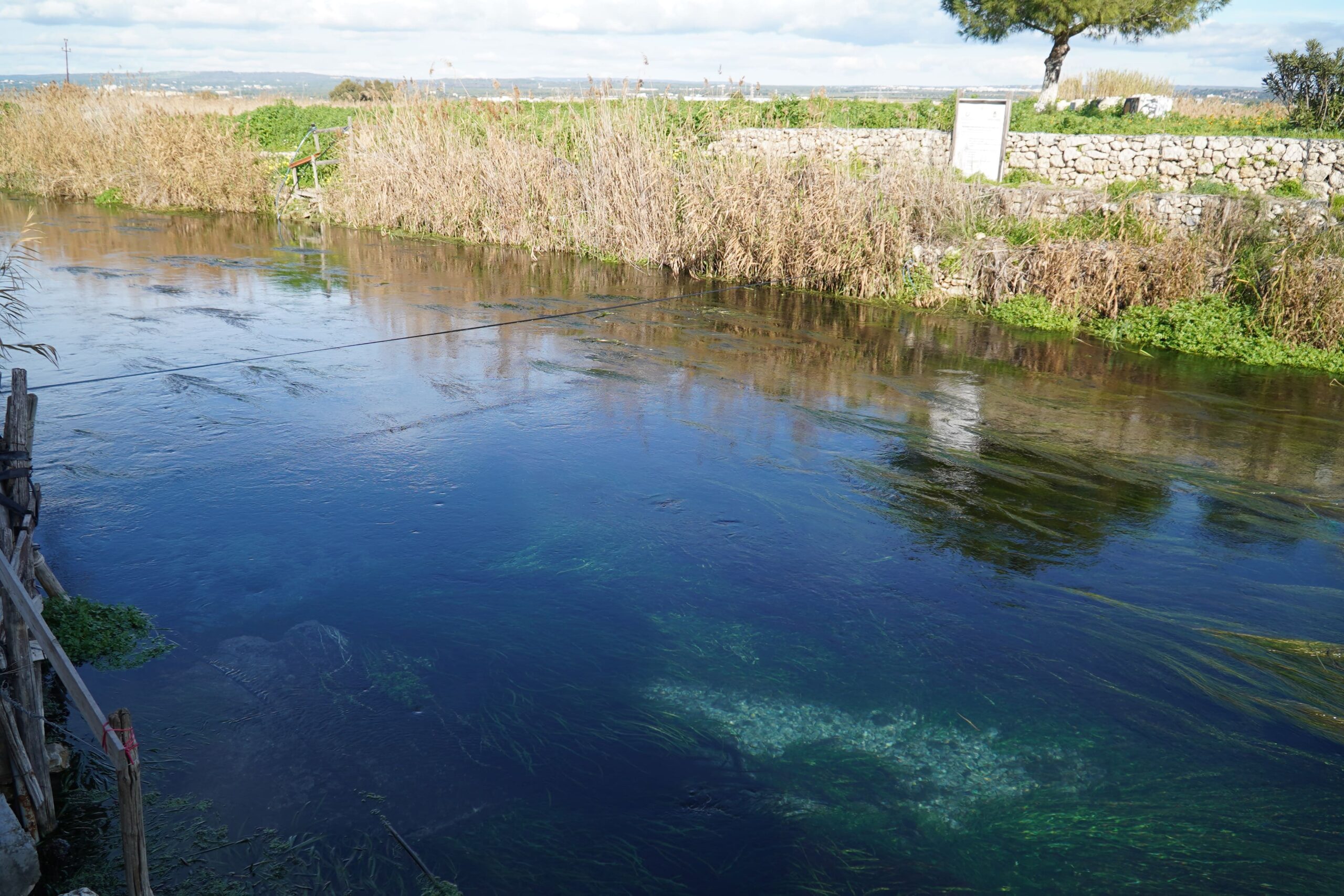 Dissalatore fiume Tara: presentata denuncia alla Commissione Ue per violazioni gravi delle norme ambientali