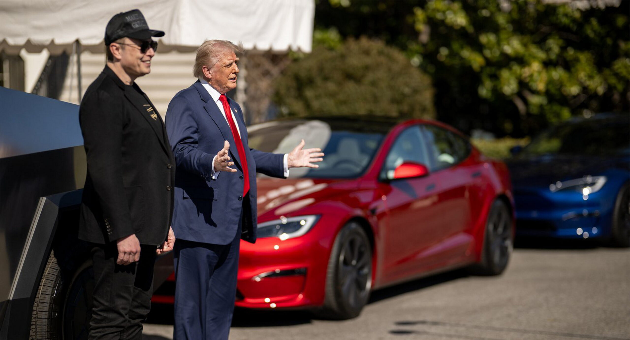 Tesla Musk
