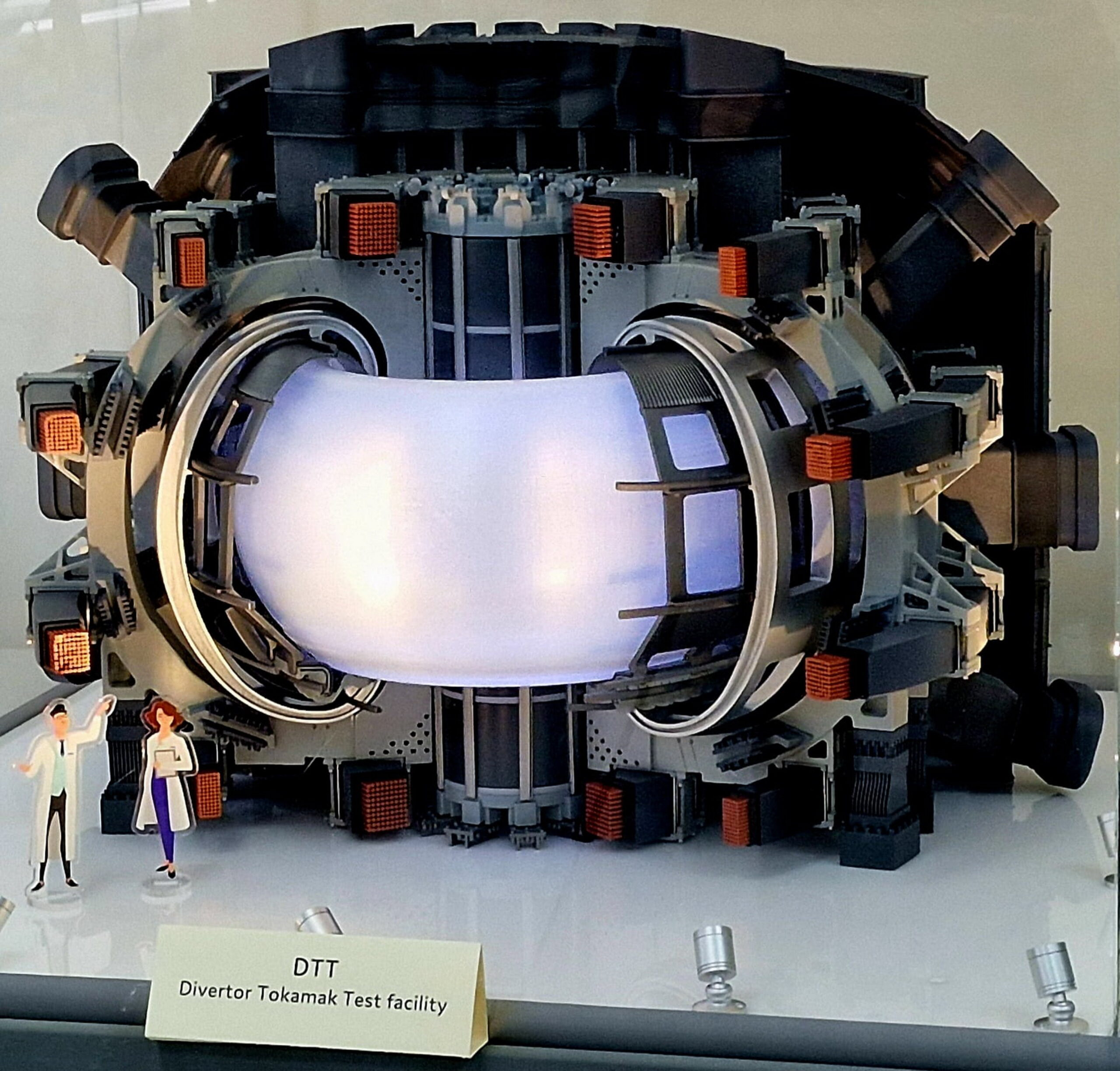 DTT fusione nucleare modello