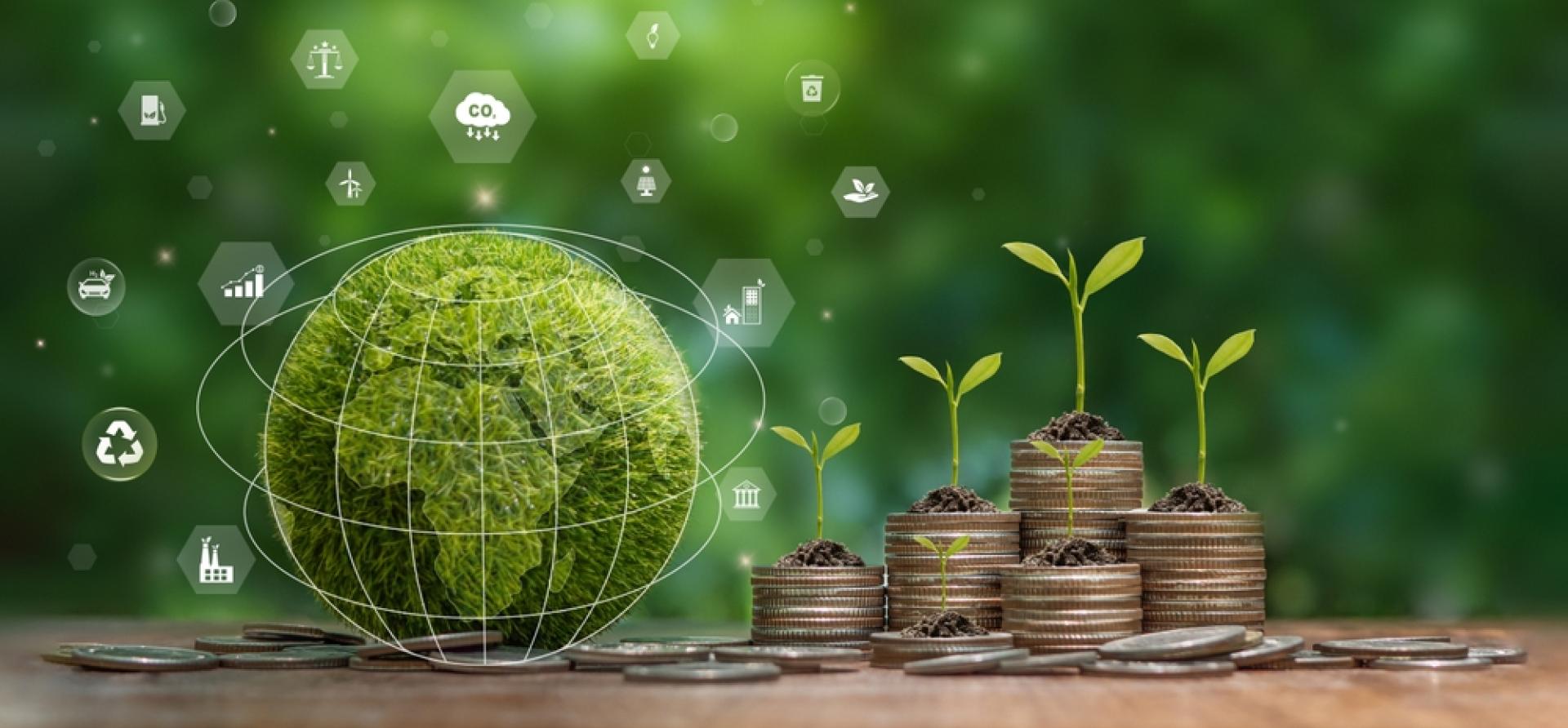 Cos’è la finanza climatica, chi la finanzia e chi la riceve