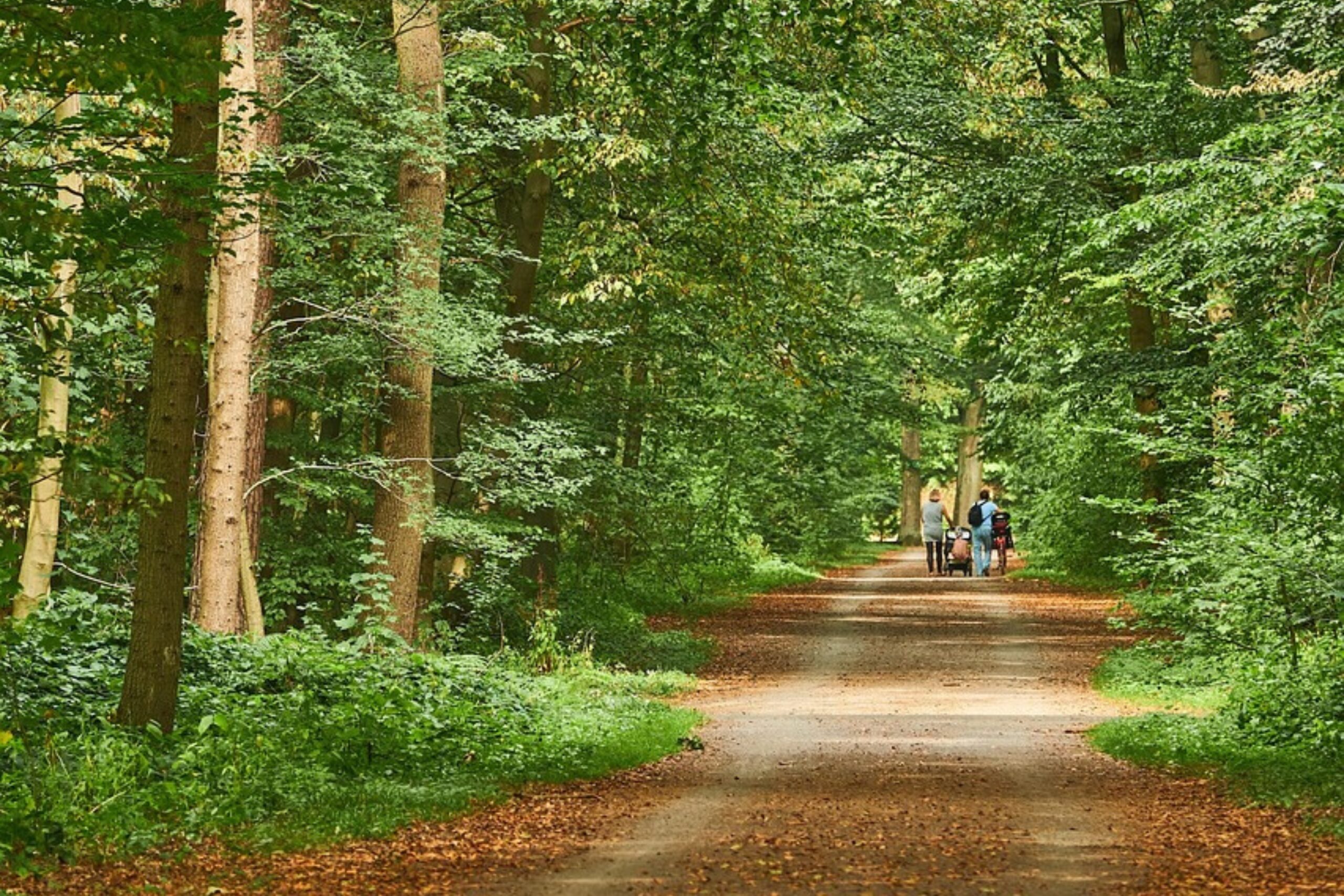 Roma amplia il suo patrimonio verde con un nuovo bosco urbano al Torrino