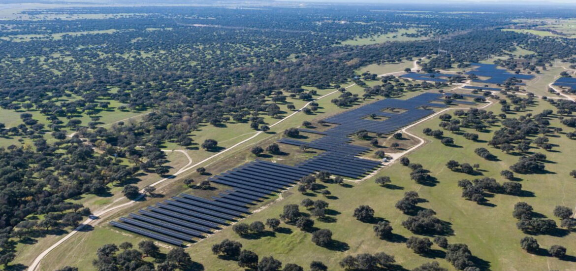 energia pulita pannelli solari solare