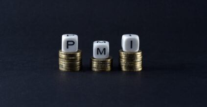 PMI PICCOLA MEDIA IMPRESA PAROLE MONETE