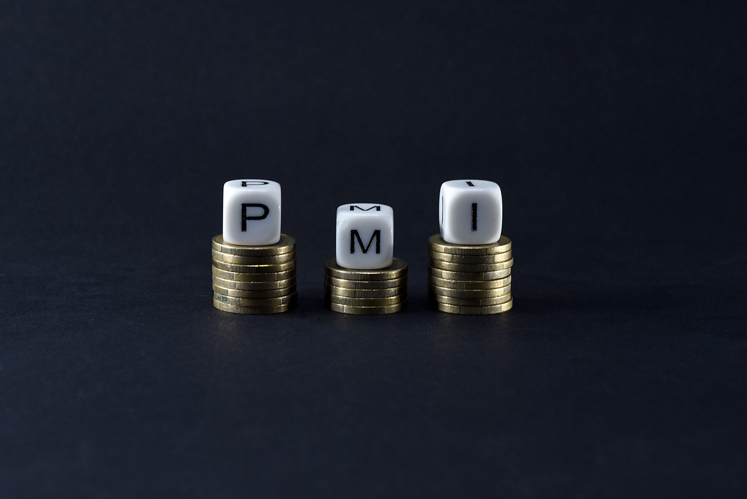 PMI PICCOLA MEDIA IMPRESA PAROLE MONETE