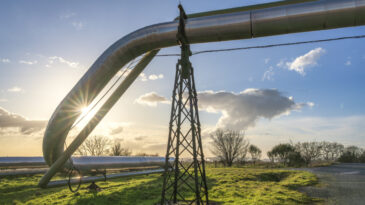 Biometano reti gas UE