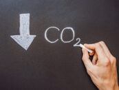 Carbon removal: l’UE vara le regole per certificare l’assorbimento permanente di CO2