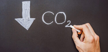 Carbon removal: l’UE vara le regole per certificare l’assorbimento permanente di CO2