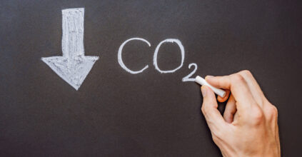 Carbon removal: l’UE vara le regole per certificare l’assorbimento permanente di CO2