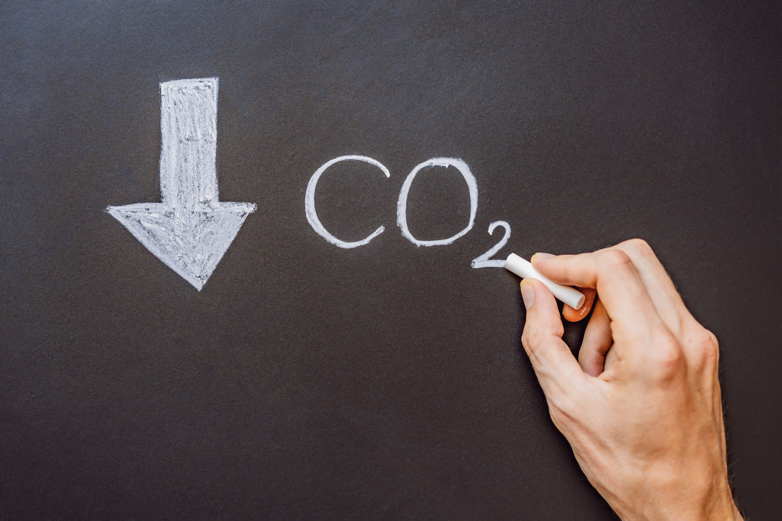 Carbon removal: l’UE vara le regole per certificare l’assorbimento permanente di CO2
