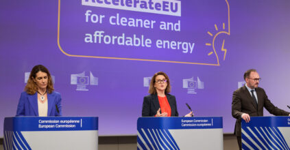 Flessibilità bilancio energia