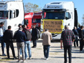 autotrasportatori